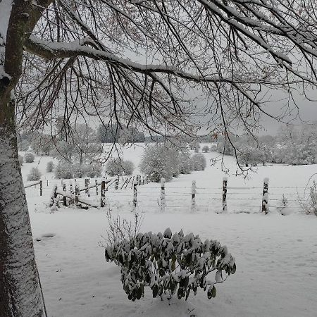 Abri De Jardin Βίλα Vielsalm Εξωτερικό φωτογραφία