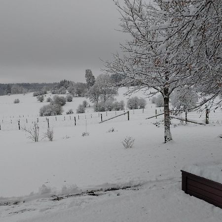 Abri De Jardin Βίλα Vielsalm Εξωτερικό φωτογραφία