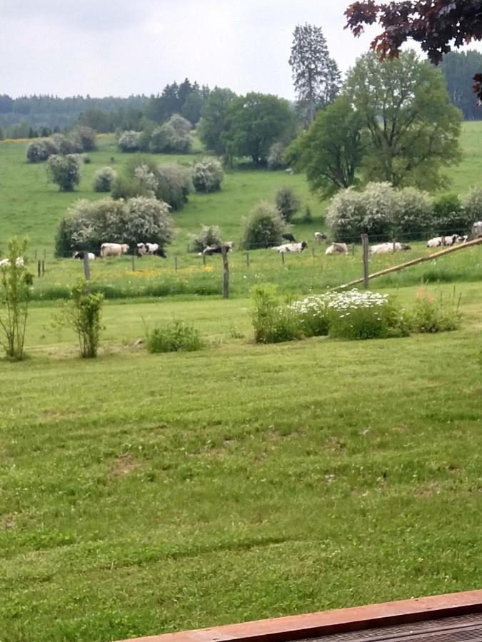 Abri De Jardin Βίλα Vielsalm Εξωτερικό φωτογραφία