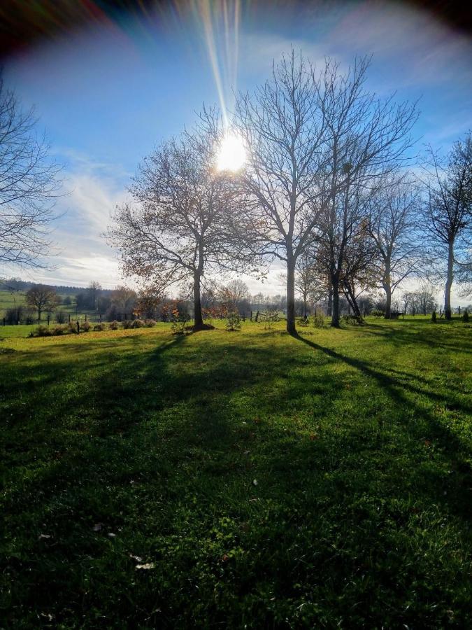 Abri De Jardin Βίλα Vielsalm Εξωτερικό φωτογραφία