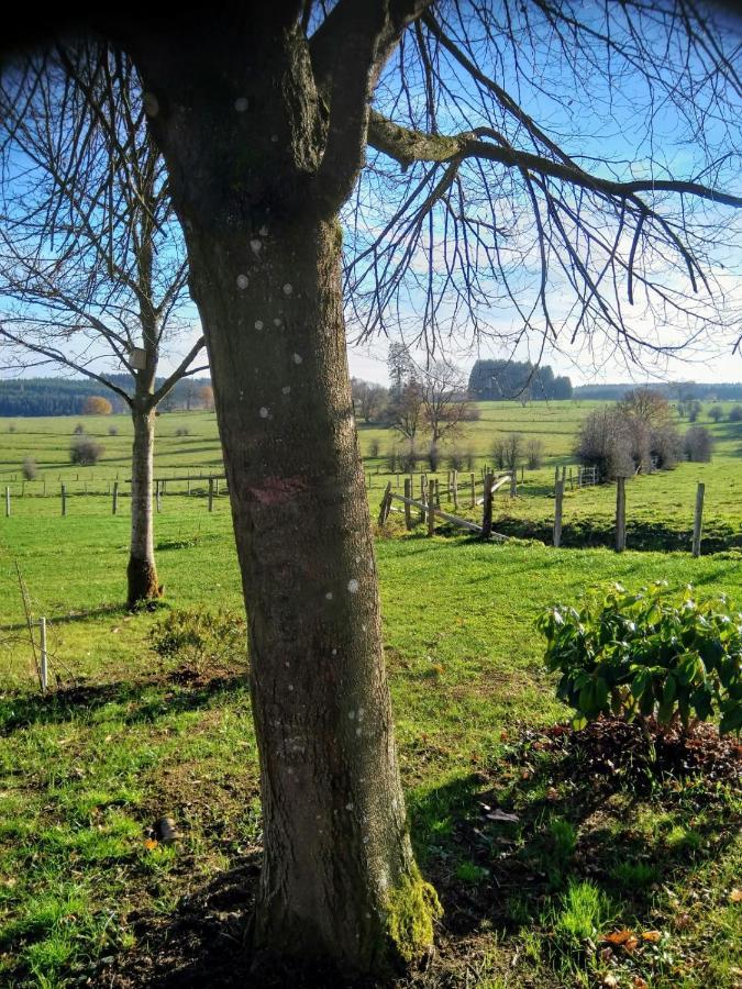Abri De Jardin Βίλα Vielsalm Εξωτερικό φωτογραφία