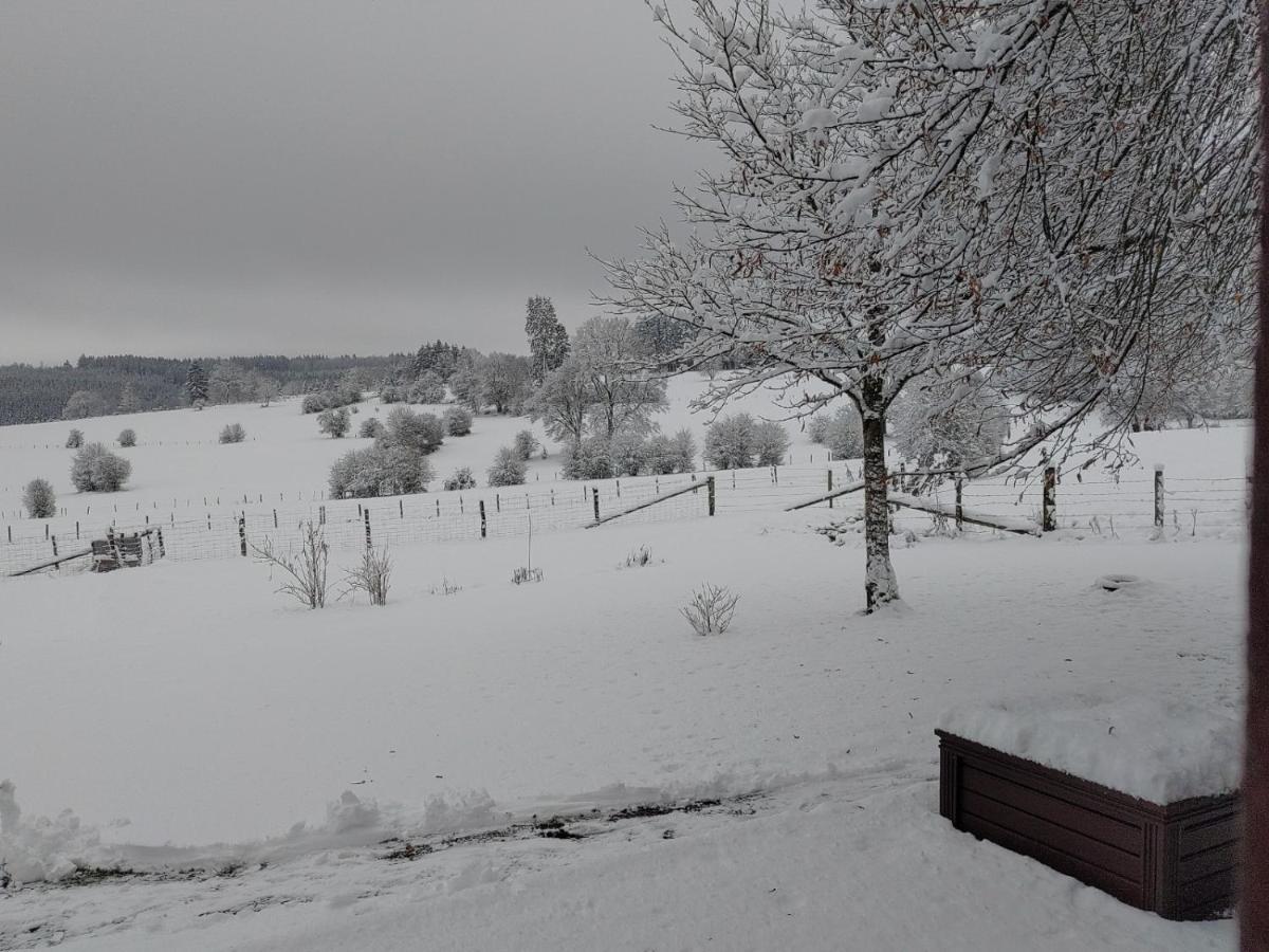 Abri De Jardin Βίλα Vielsalm Εξωτερικό φωτογραφία