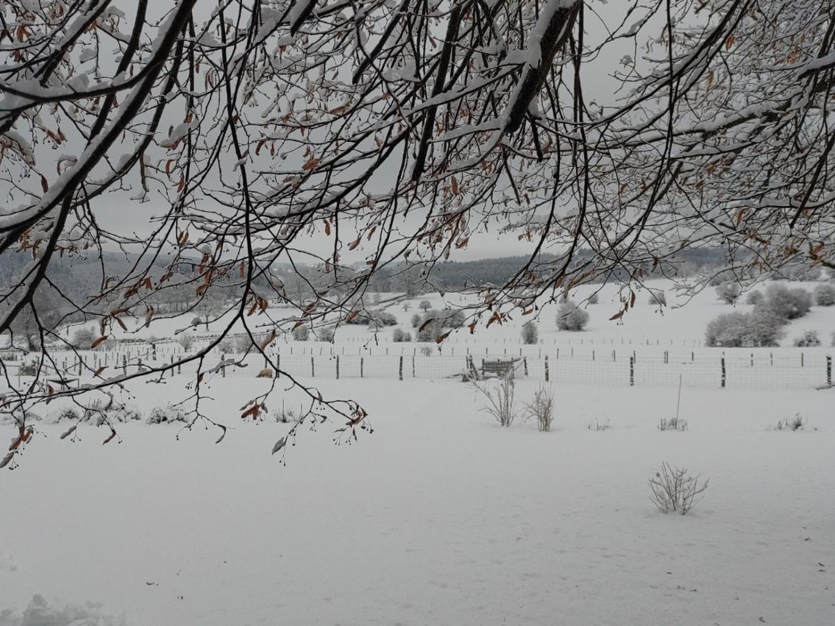 Abri De Jardin Βίλα Vielsalm Εξωτερικό φωτογραφία
